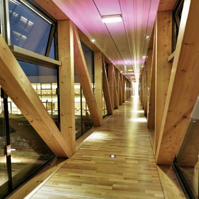 Therme Laa - & Silent Hotel 4*